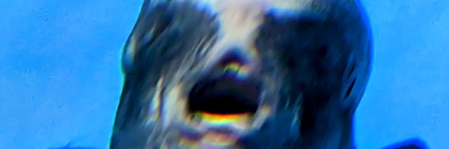 pekotasso's profile banner image