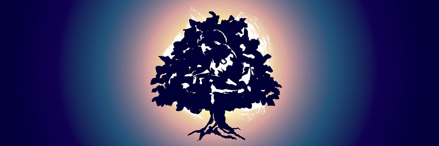 BEFORE AFTER JAPAN banner