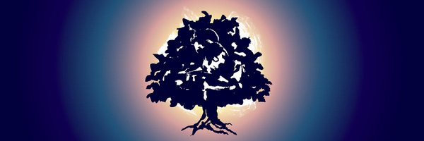 BeforeAfterJP Profile Banner