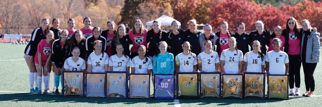 WLU Women's Soccer banner