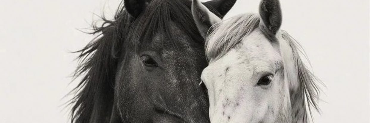 410Sever's profile banner image