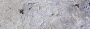 EU_HAS's profile banner image