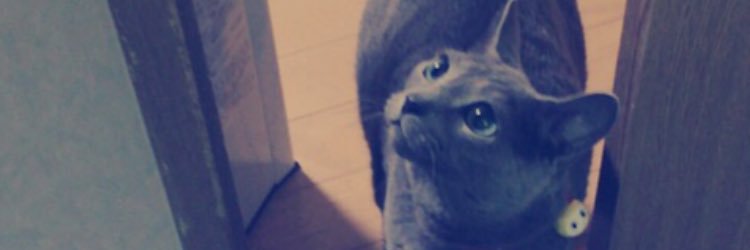 Tiiimo3125's profile banner image