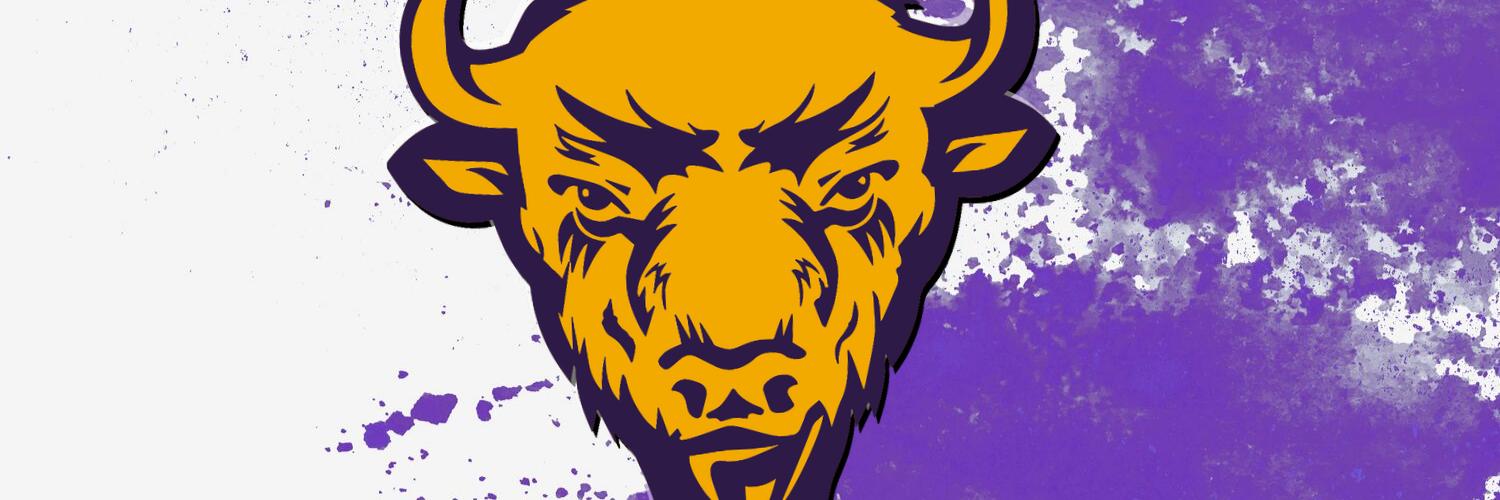TheBisonRadio's profile banner image