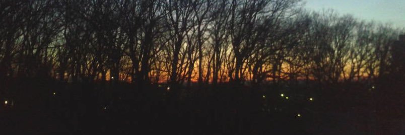 林田 航平 banner