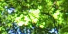 ryokusui_feicui's profile banner image