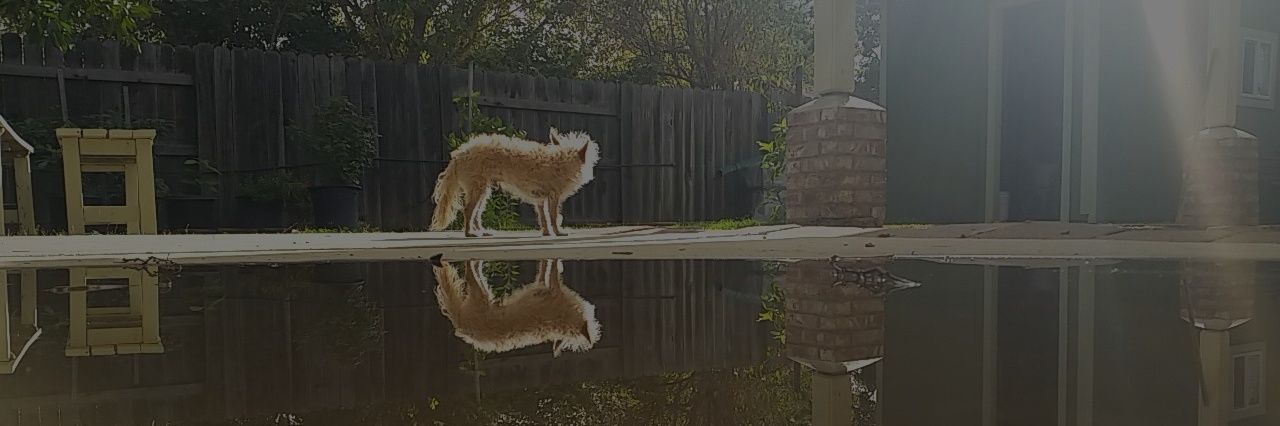 markezzy's profile banner image