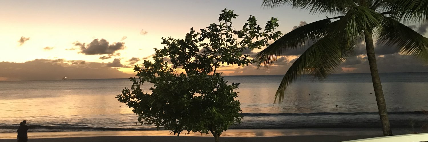 Shane Herbert banner