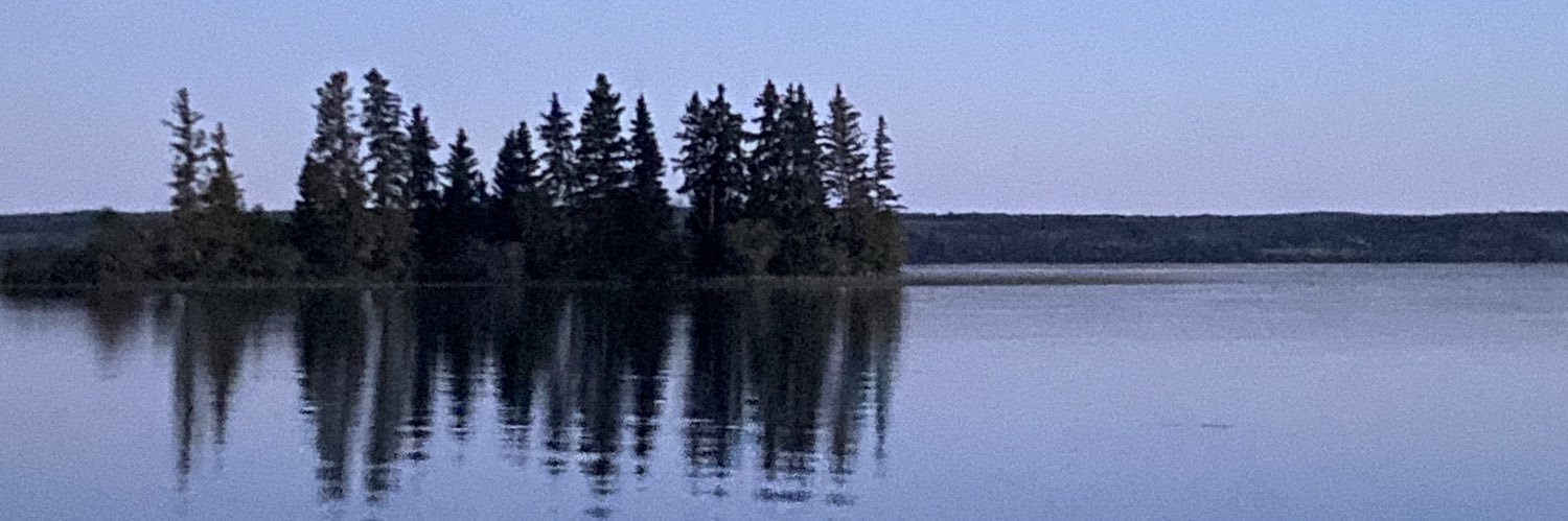 RachelleLendsay's profile banner image