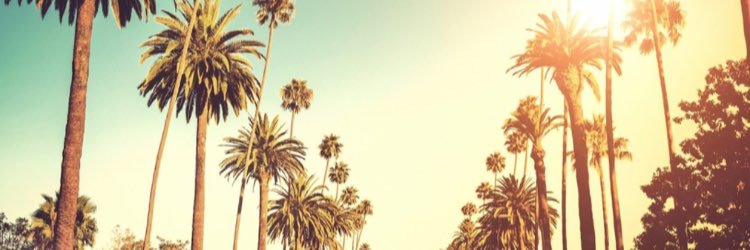 ayemichellle's profile banner image