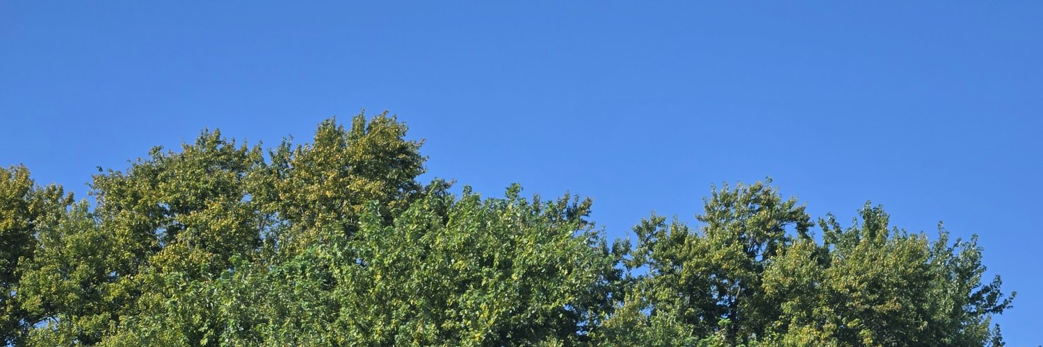 Srrhv_'s profile banner image