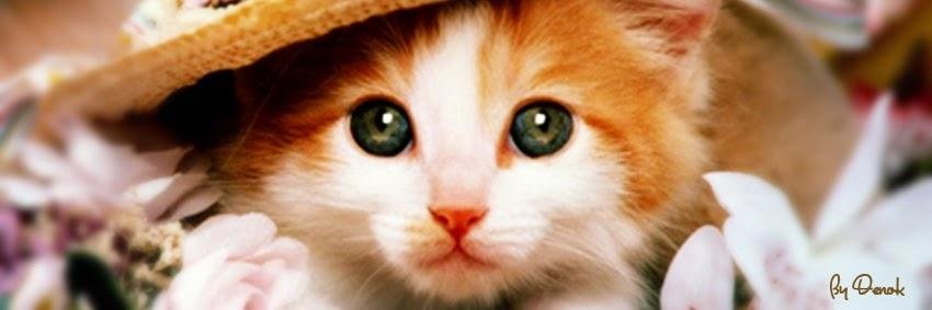 EssaMonalisa's profile banner image
