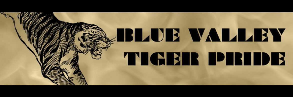 BV Tiger Pride banner