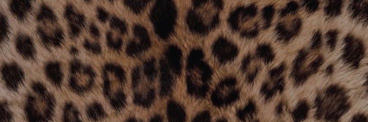Laboniiiiiita's profile banner image