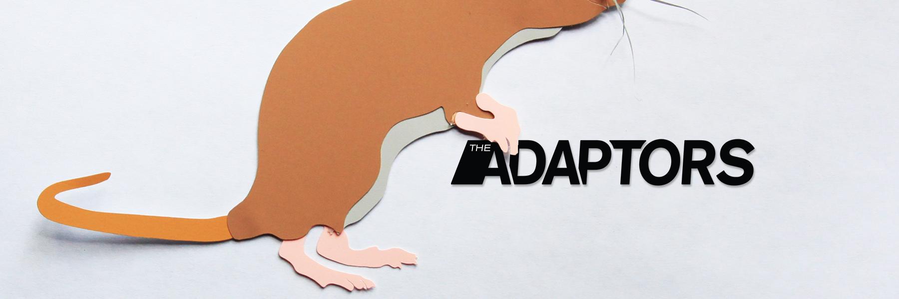 TheAdaptors's profile banner image