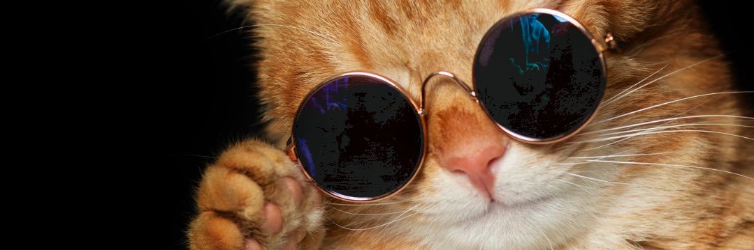 TaibCh's profile banner image