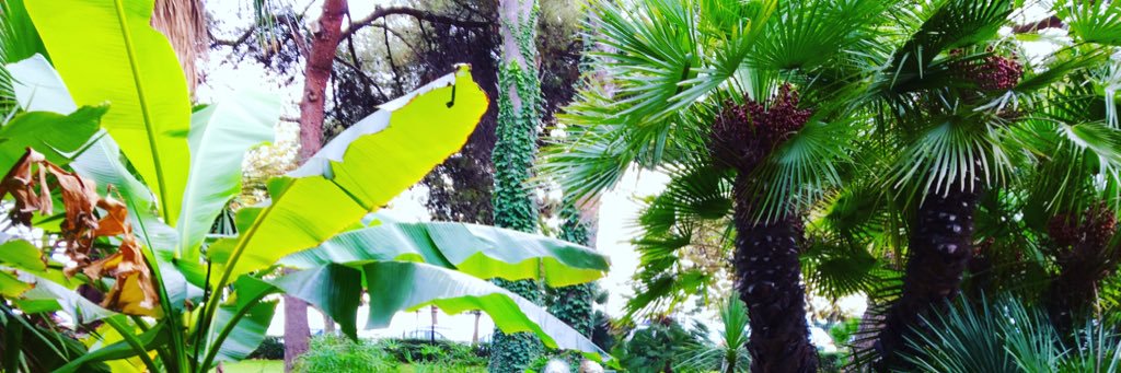 rayon_09's profile banner image