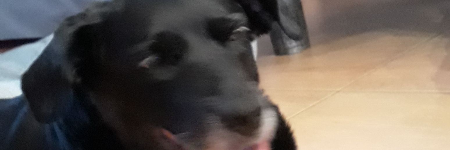 roblesescuer's profile banner image