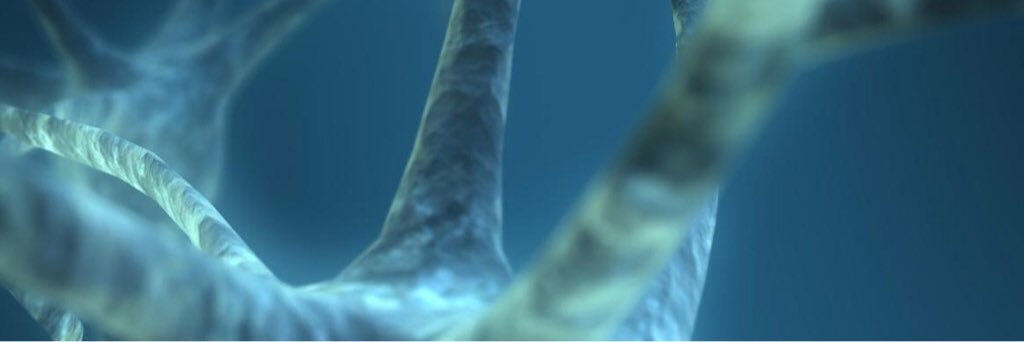 Sebastiano_Lenz's profile banner image