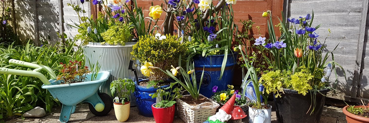 Potty_Garden's profile banner image
