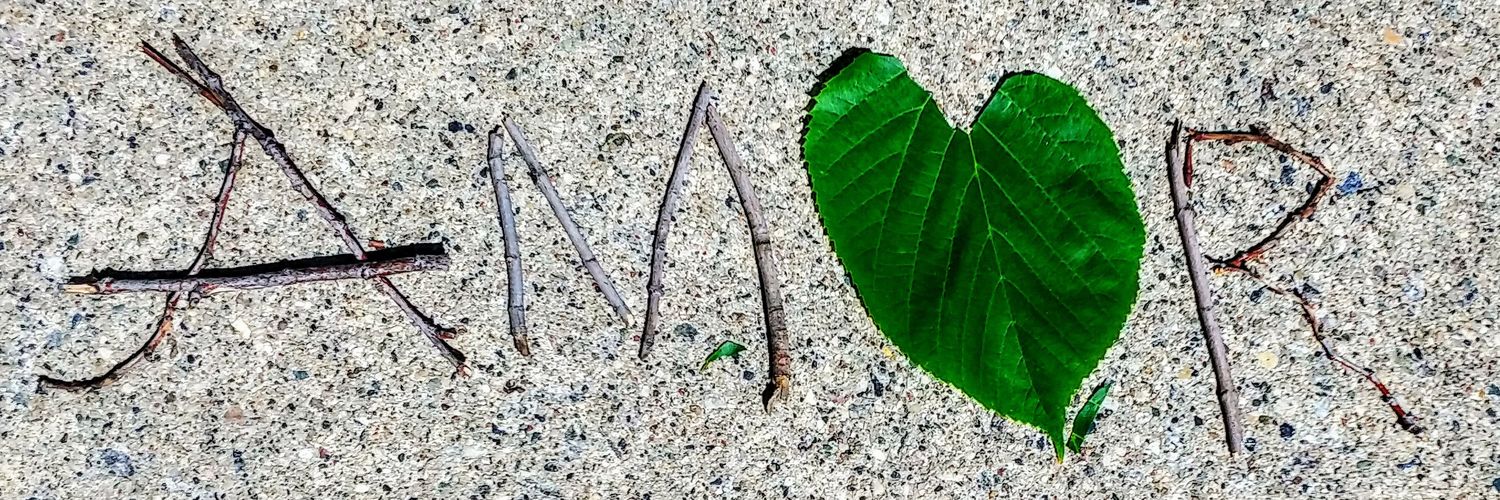 jilfis's profile banner image