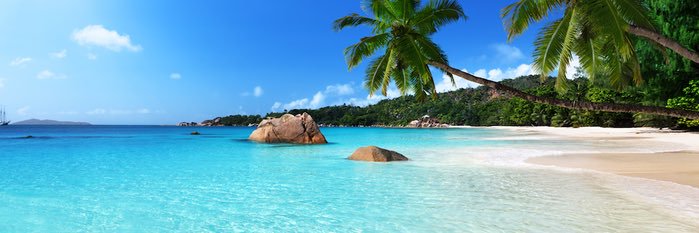 Vision Ari 🇺🇸🇨🇦 banner