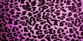 luckyswine13's profile banner image
