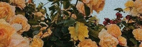KarlaG1996's profile banner image