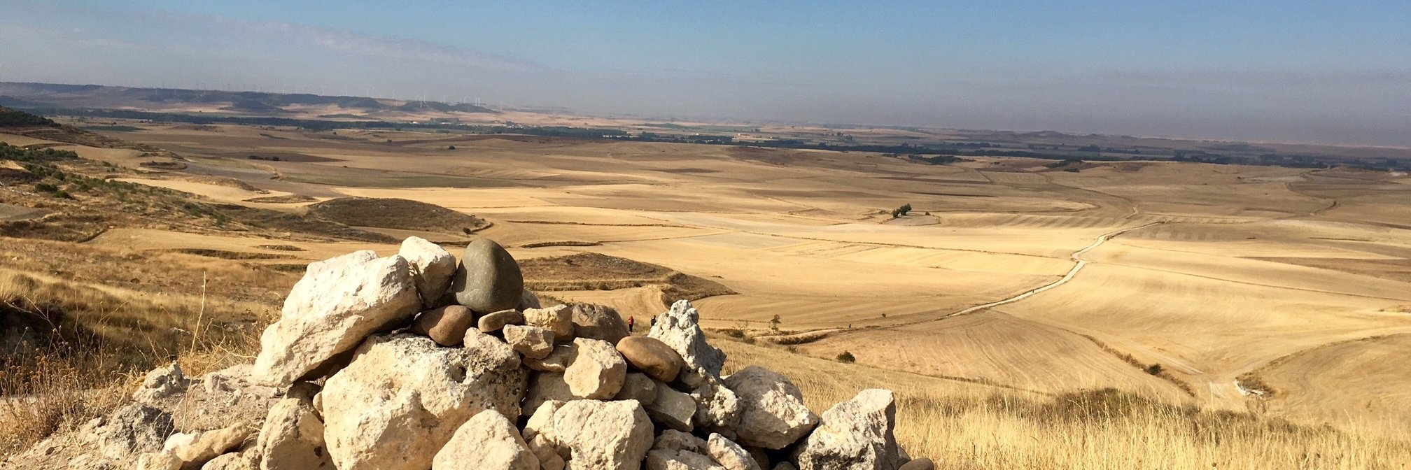 Democracy Fan Girl banner