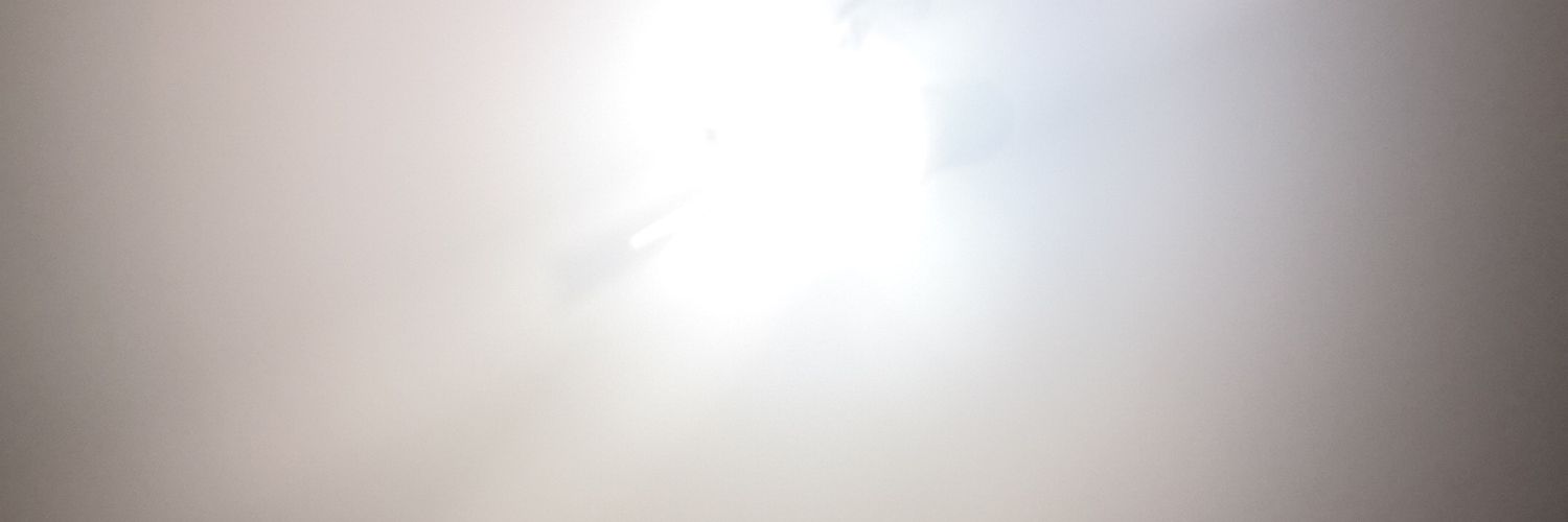 ssnikolaevich's profile banner image