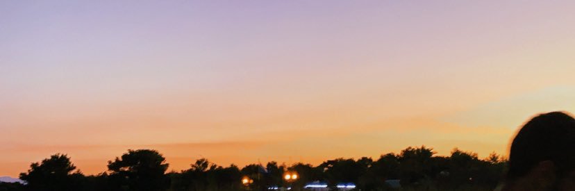 Helenalatronico's profile banner image
