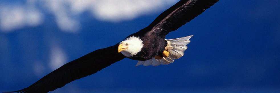 Henry Anderson banner