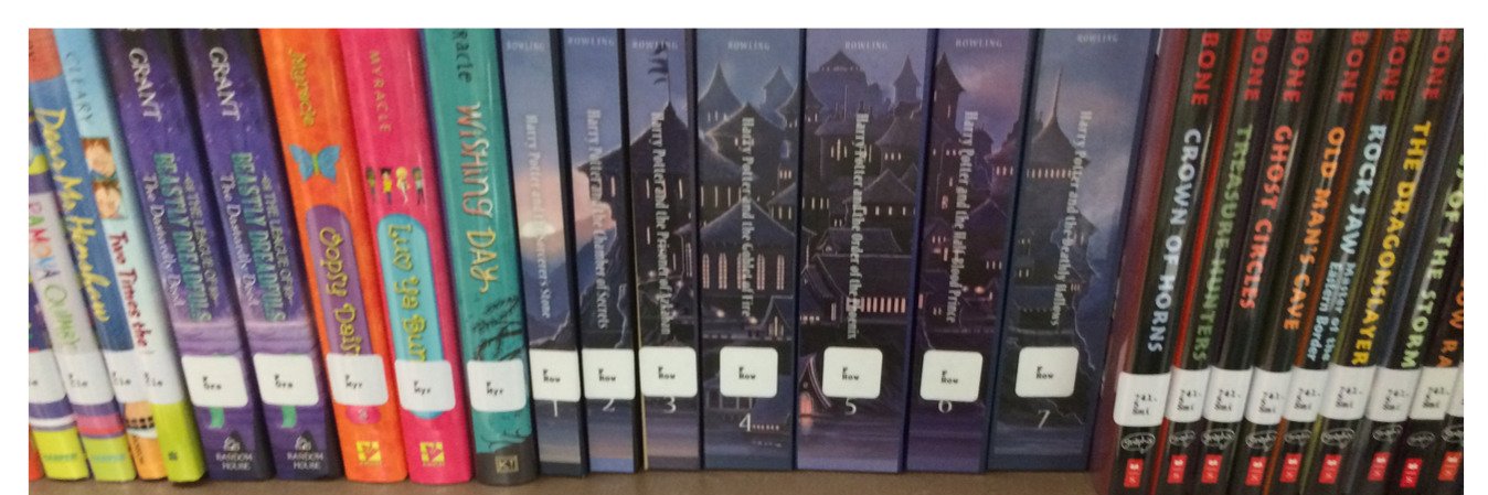 Jackie Pippins banner