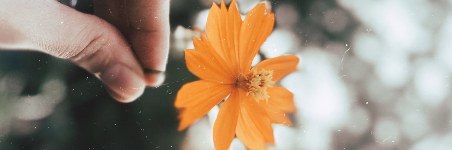 isay74's profile banner image