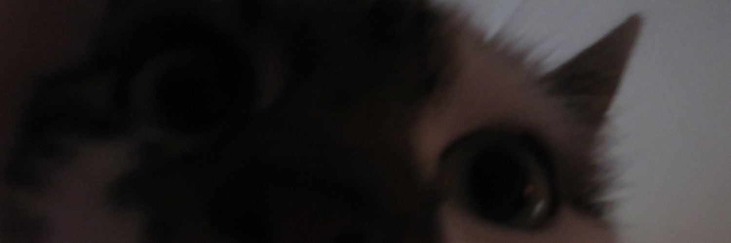 sunfl0raa's profile banner image