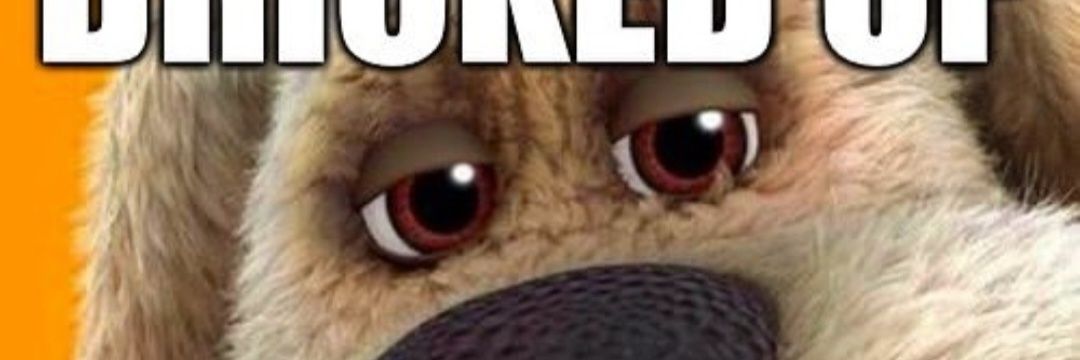 tehmastir456's profile banner image