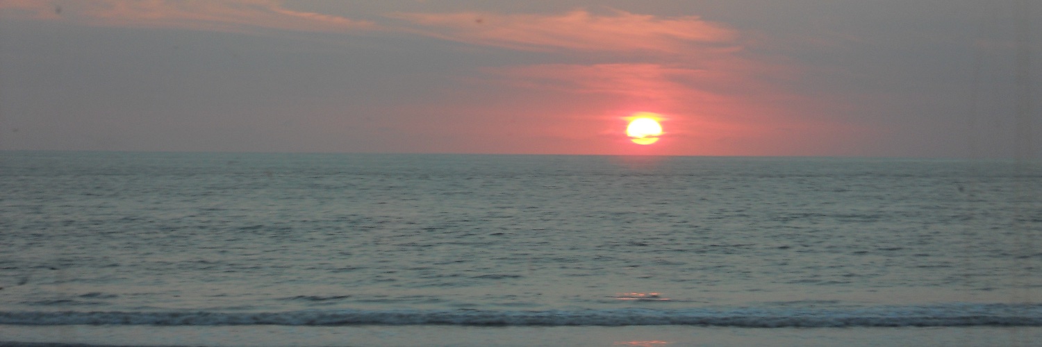 DiscreetDiva's profile banner image
