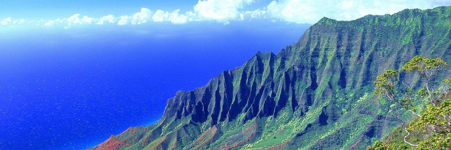 Hawaii Book Blog banner