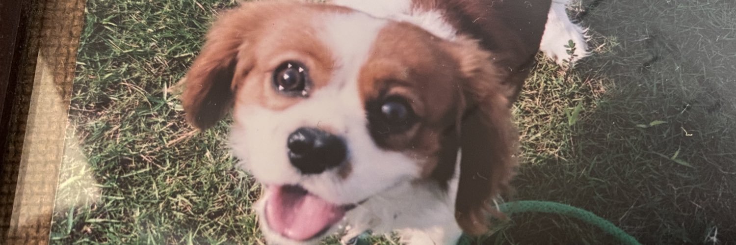 mamamashan's profile banner image