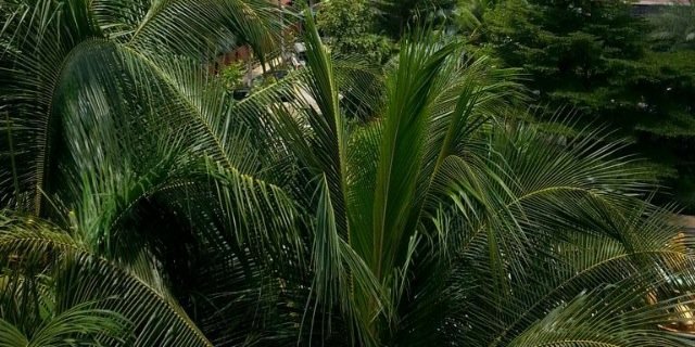 hmeed5491's profile banner image