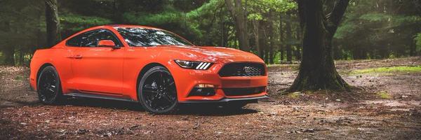 Noble_Lue Profile Banner