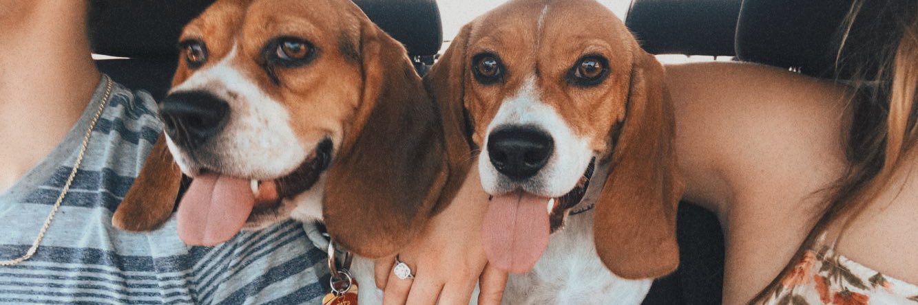 meagmash's profile banner image