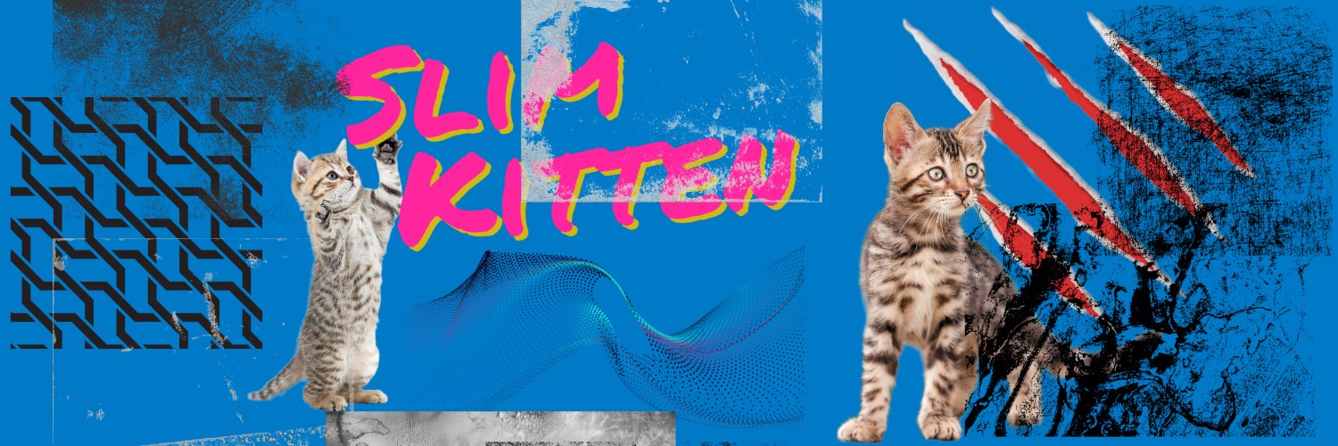 SlimKitten1's profile banner image