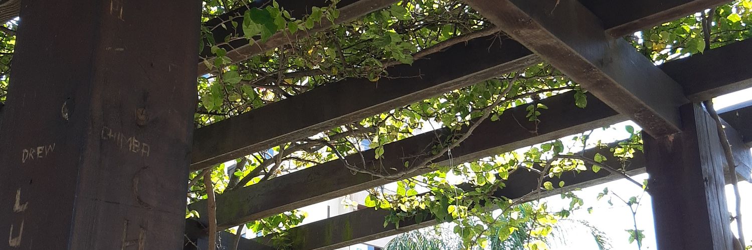 maciel19901's profile banner image