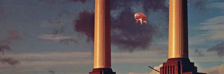GlassTcat banner