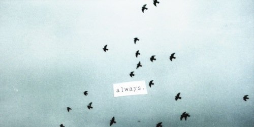 Jackwhitesiders's profile banner image