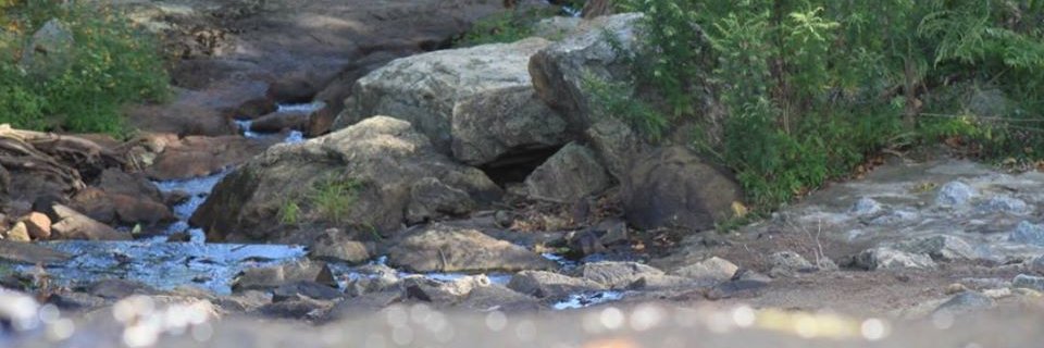 brokentomatoes's profile banner image