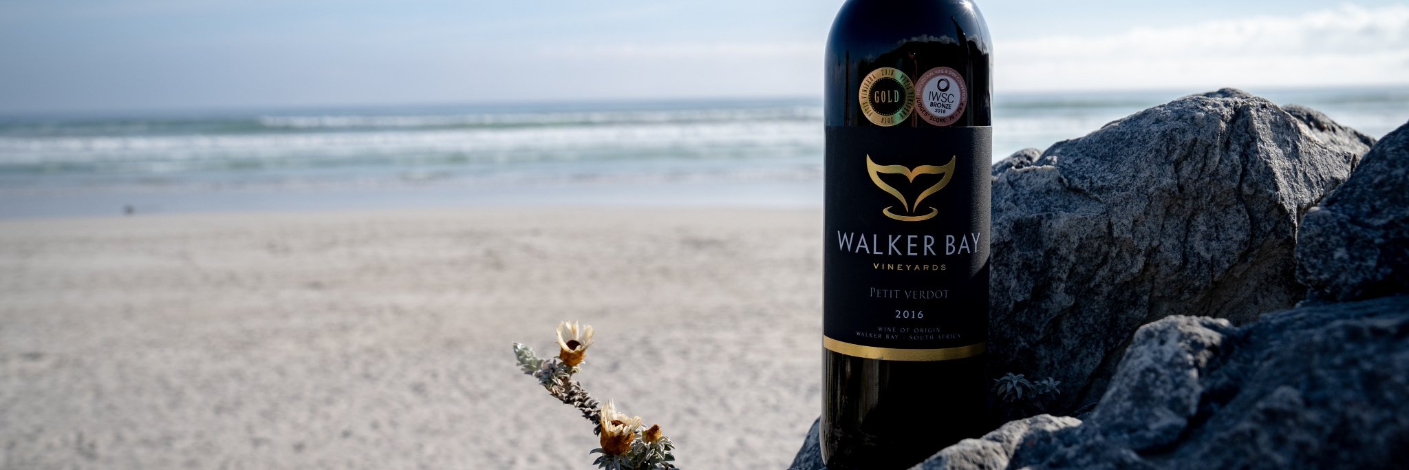 WalkerbayEstate's profile banner image