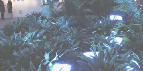 NashRPGTMB2's profile banner image