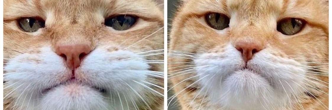 Héctor Kirill banner